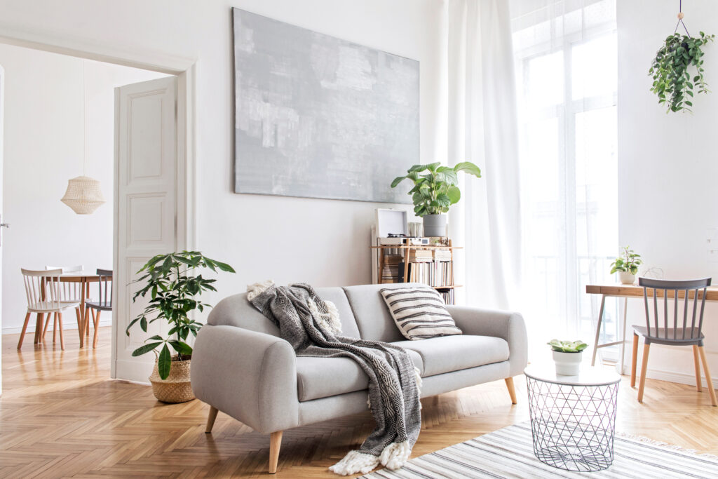 Stylish scandinavian living room with design furniture, plants,